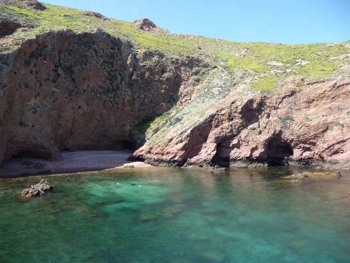 Diving in Peniche Portugal